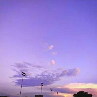 ob体育手机app下载